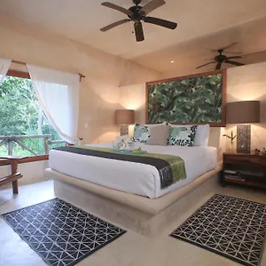 https://cachito-de-cielo.allrivieramayahotels.com
